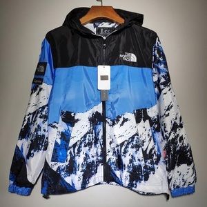 The north face jacket